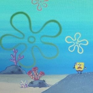 Meet your Posher, Kasey